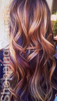 ����. �����, ���� 2026. ������ ���� �� ������ ����